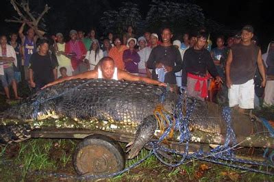 The Scoop Box: Lolong, World's Largest Crocodile Dies!