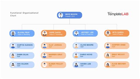 Functional Organization Chart Template