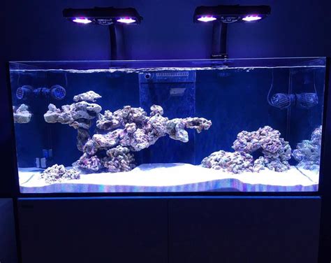 44+ Saltwater Aquascaping Ideas Images // Aquascape Oke