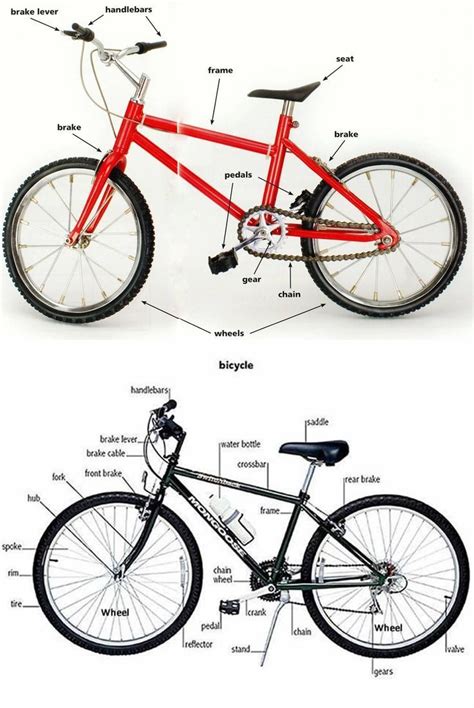 English Vocabulary: Different Parts of a Bicycle | English vocabulary ...