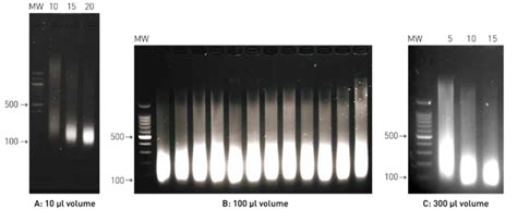 Chromatin shearing using Bioruptor® sonication device | Diagenode