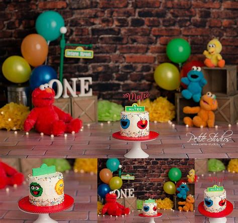 Naperville and Chicago First Birthday Photographer – Sesame Street Elmo ...