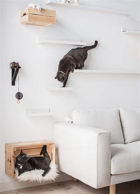 How to Create an Indoor Cat Climbing Wall | Cat climbing wall, Animal ...