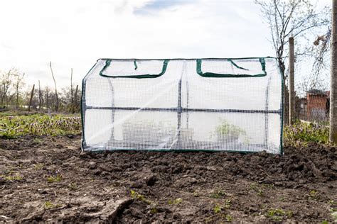 Gardening On The Go: The Best Portable Greenhouses For Your Plant Needs ...