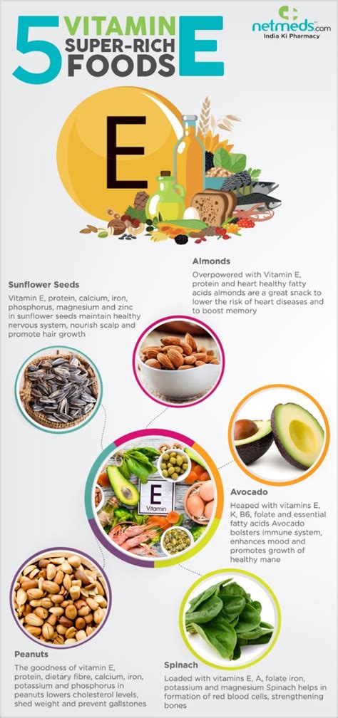 5 Foods Bountiful in Vitamin E That Promote Overall Health-Infographic