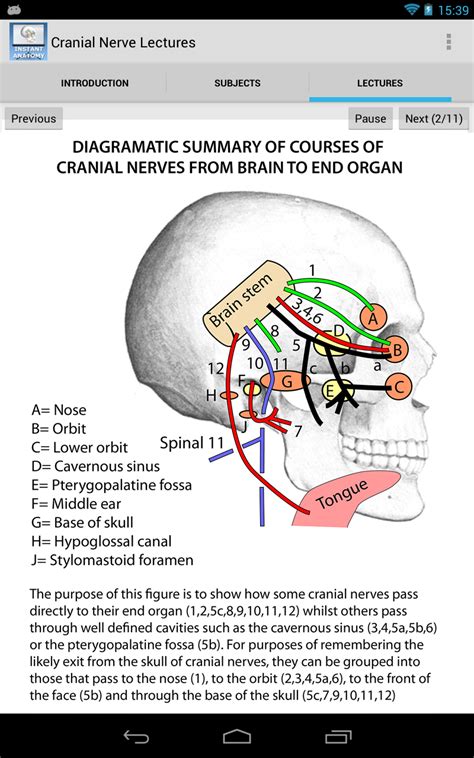 Anatomy Cranial Nerve Lectures : Amazon.co.uk: Apps & Games