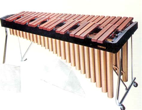 Xylophone instrument