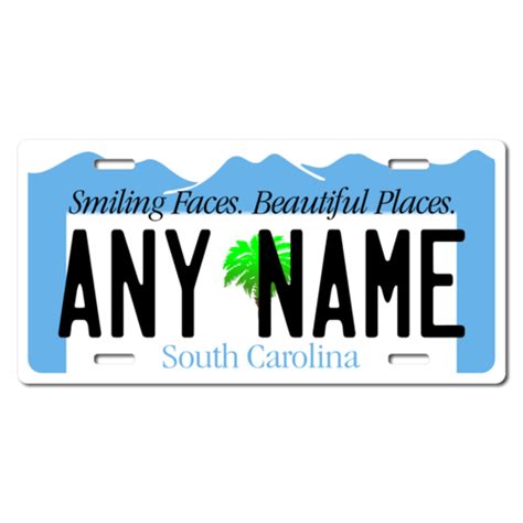 Personalized South Carolina License Plate for Bicycles, Kid's Bikes ...