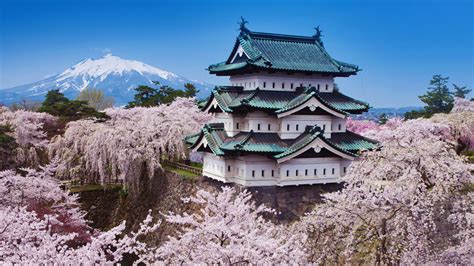 Japan: Cherry Blossoms Peak Across the Country