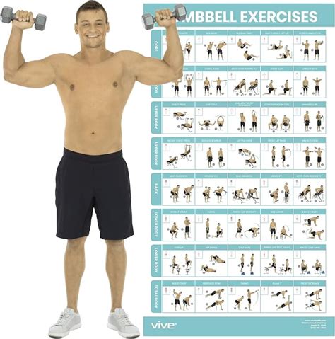 Vive Dumbbell Exercise Poster - Home Gym Workout for Upper, Lower, Full ...