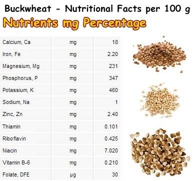 Properties and Benefits of Buckwheat - NatureWord