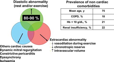 Diagnosis of heart failure with preserved ejection fraction: role of ...