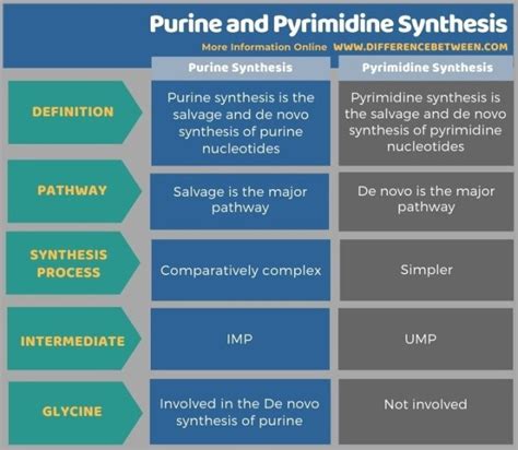 Difference Between Purine and Pyrimidine Synthesis | Compare the ...