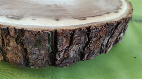 Elm Slab Round Slice D16″ – Wood Demand