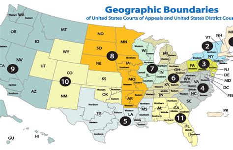 The Federal Court System | Boundless Political Science | | Course Hero