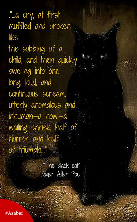 #Asaber | #Recommended #reading. "The black cat", Edgar Allan Poe / # ...