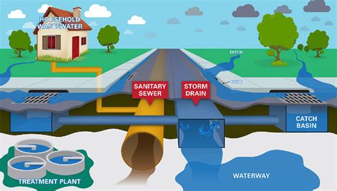 Storm Sewer vs. Sanitary Sewer