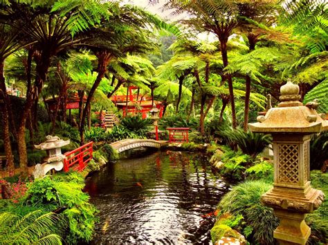 Tea Garden Wallpapers - Top Những Hình Ảnh Đẹp