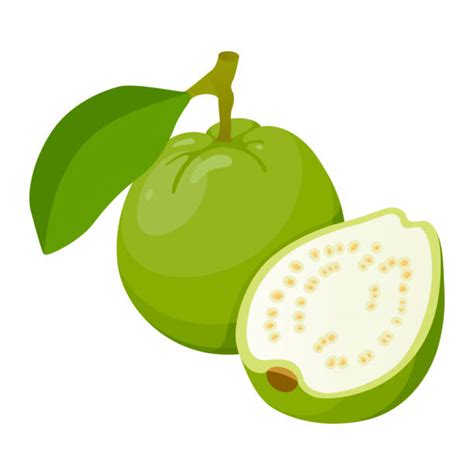 Guava Fruit Clipart Collage