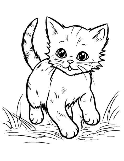 25 Kitten Coloring Pages: Free Cute Sheets