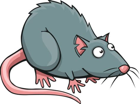 rat clipart - Clip Art Library