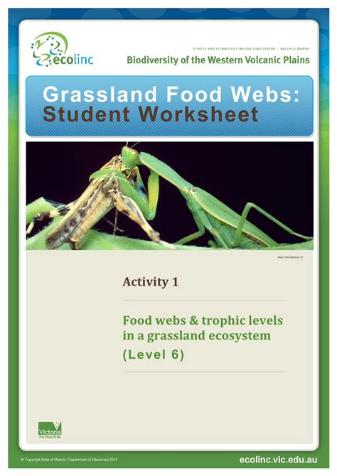 (PDF) Grassland Food Webs: Student Worksheet...Food webs & trophic ...