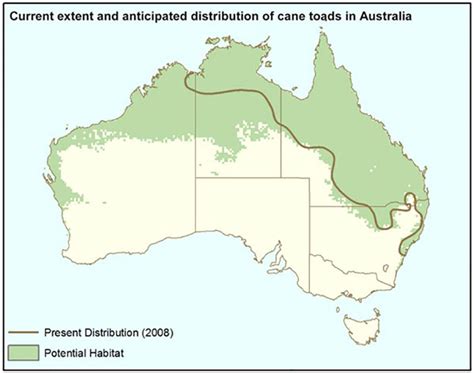 Cane Toad Distribution Map