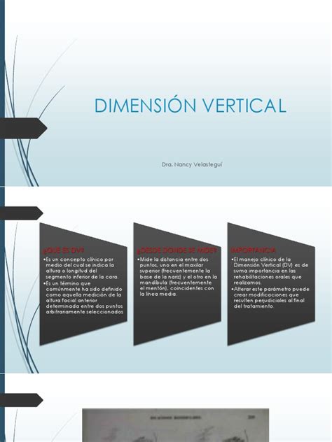 Dimension Vertical | PDF | Length | Scientific Method