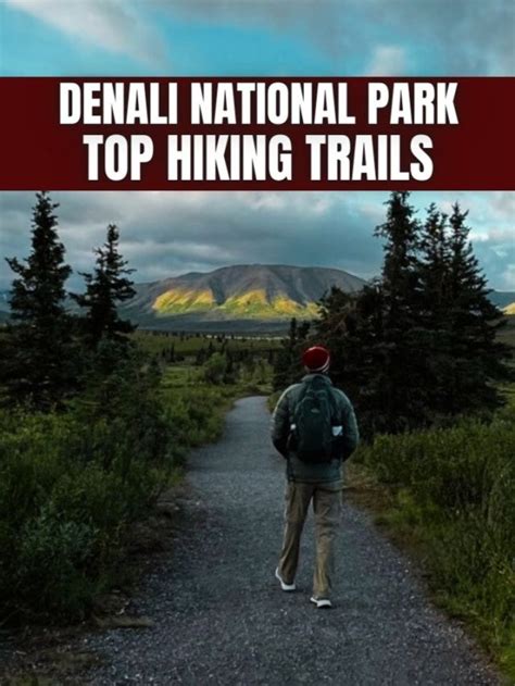 TOP Denali National Park Hiking Trails - Miles with McConkey