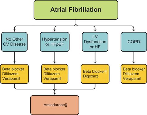 2014 AHA/ACC/HRS Guideline for the Management of Patients With Atrial ...