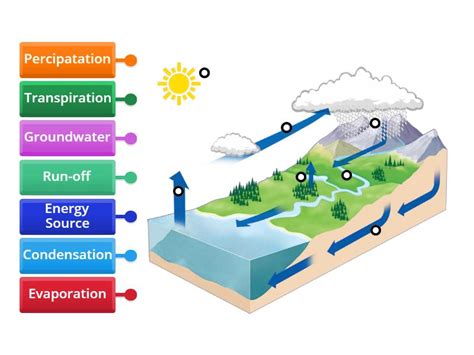 Water Cycle Labeled Diagram - Labelled diagram