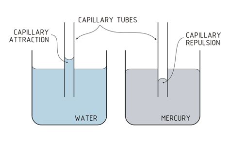 Capillary Action