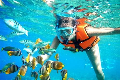 Cancun Snorkeling Tour from Aria Condos Puerto Cancun | Cancun Snorkeling