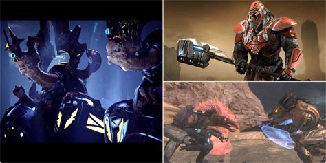 Halo: All Covenant Species, Ranked