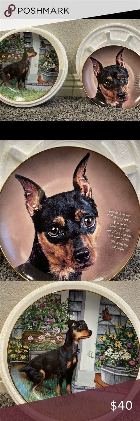 Danbury Mint Collector Plates Miniature Pinscher, Danbury Mint, The ...