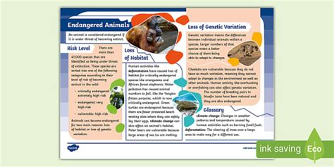 KS2 Endangered Animals Fact File (teacher made) - Twinkl