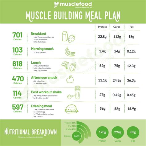 Muscle Building Diet Plan - PrintableDietPlan.com