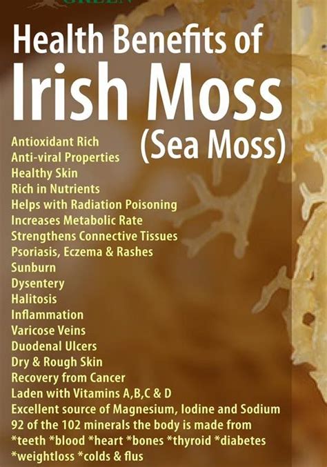 Irish Moss Benefits - Top 10 Benefits of Sea Moss | Sea moss, Irish ...