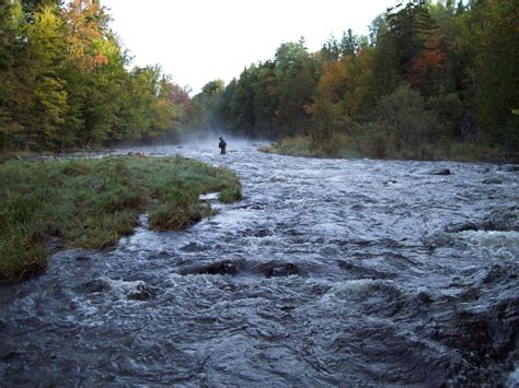 Upper Connecticut River, ... | Global FlyFisher