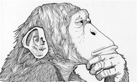 Monkey Line Drawing at PaintingValley.com | Explore collection of ...