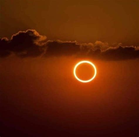 The stunning "Ring of Fire" Solar Eclipse. : r/interestingasfuck