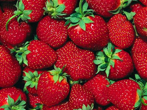 Strawberry Wallpaper - Fruit Wallpaper (6102247) - Fanpop