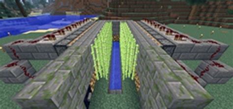 Sugar Cane Minecraft Farm