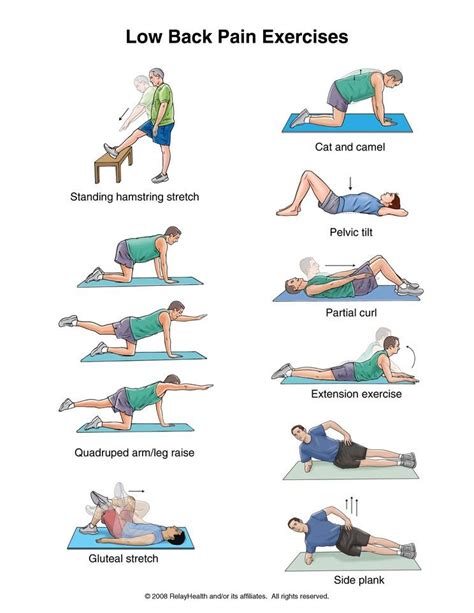 Low back exercises — Knotry