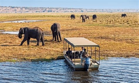 South Africa safari tours with The Complete Traveler is trip of a lifetime