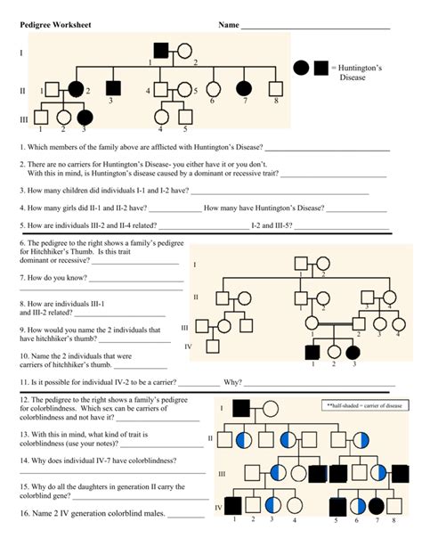 Pedigree Worksheet Answer Key - Zipworksheet.com