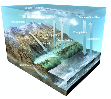 ESA - Earth's water cycle