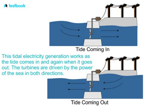 Tidal Energy: Definition, Diagram, Advantages, Disadvantages