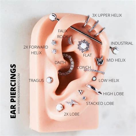 Ear Piercing Diagram Names | Phoebe Info