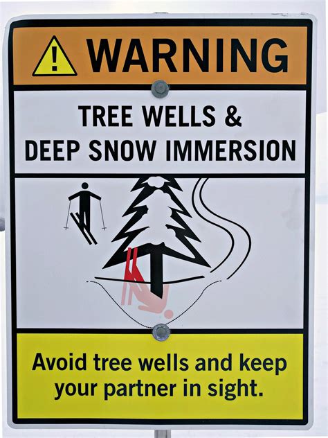 2 Die in Tree Wells on Mt. Bachelor in Same Day | GearJunkie